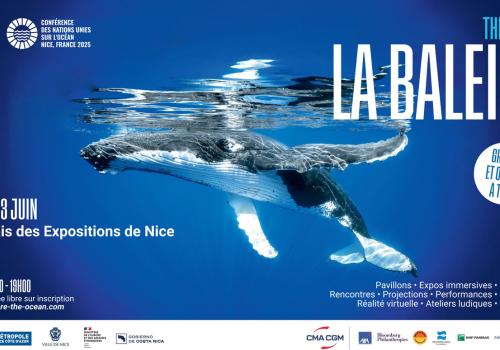 Affiche la baleine UNOC