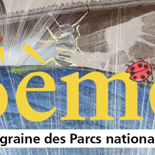 Newsletter Sème