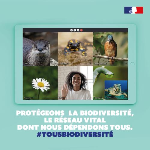 Tous biodiversité