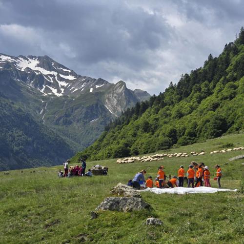 Animation scolaire en mai 2026 dans les Pyrénées