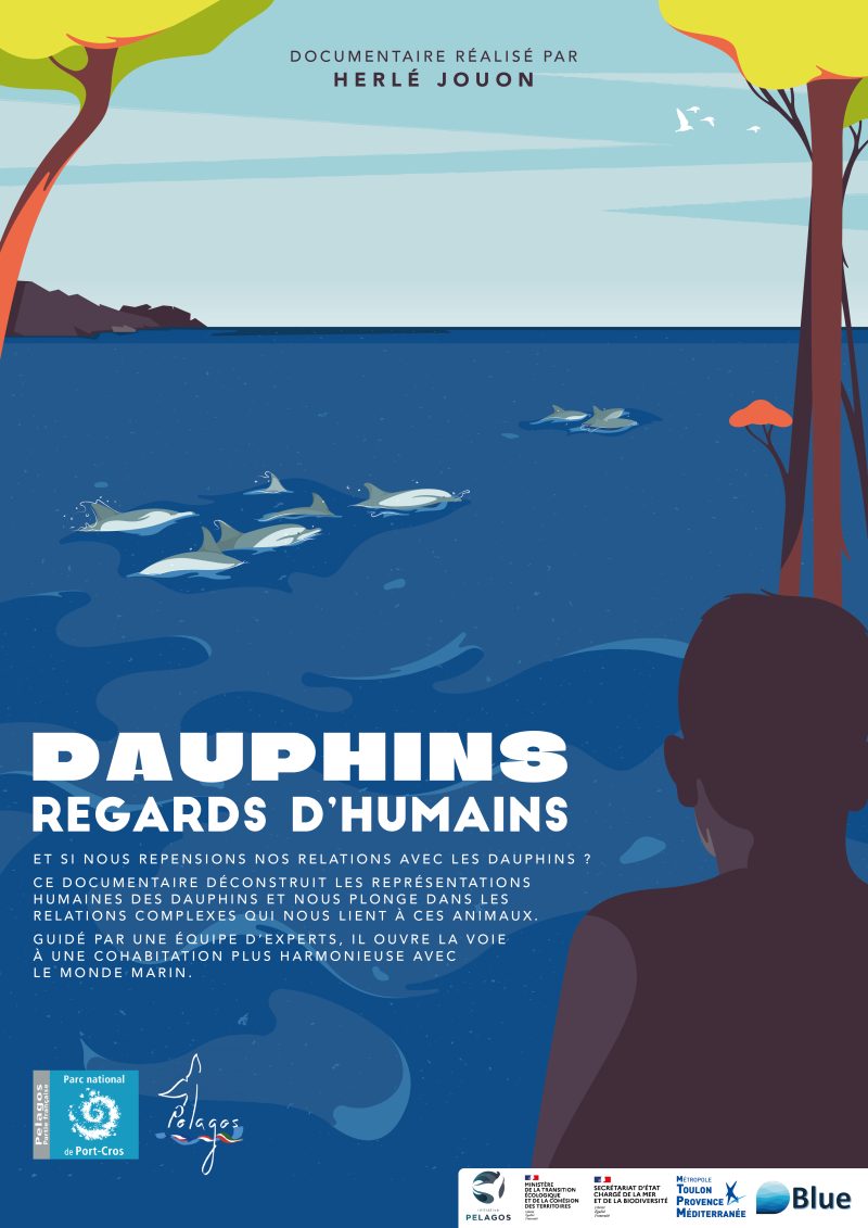 Affiche docu dauphins regards d'humains