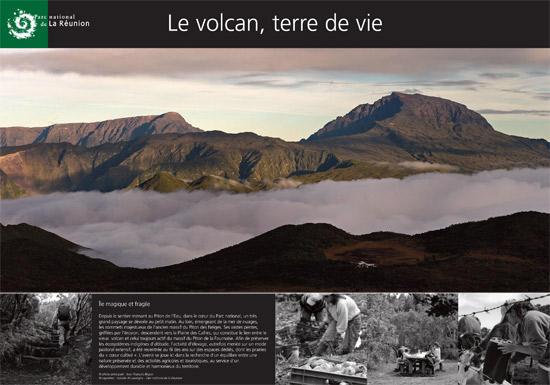 parc-national-de-la-reunion-le-volcan-terre-de-vie_imagelarge.jpg