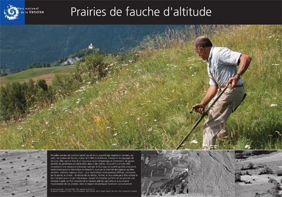parc-national-de-la-vanoise-prairies-de-fauche-d-altitude_imagelarge.jpg