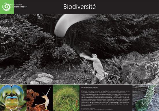 parc-national-du-mercantour-biodiversite_imagelarge.jpg