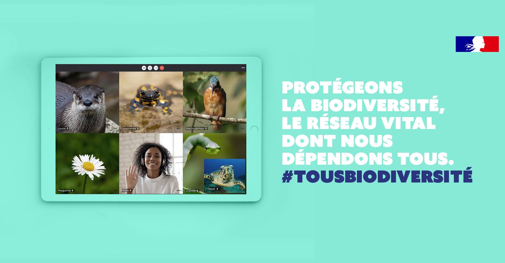 Tous biodiversité