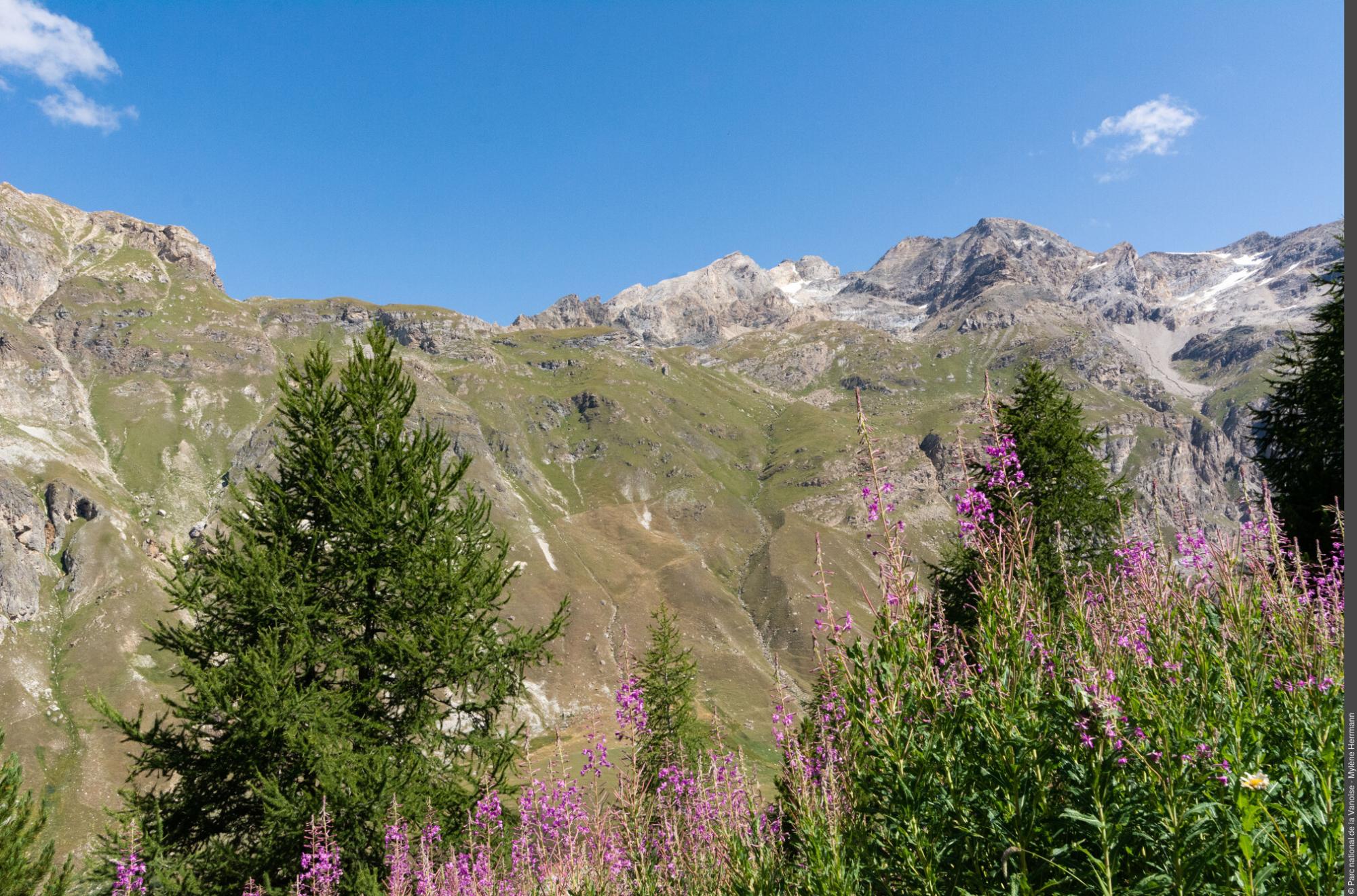 Vue sur la Réserve naturelle nationale de la Bailletaz