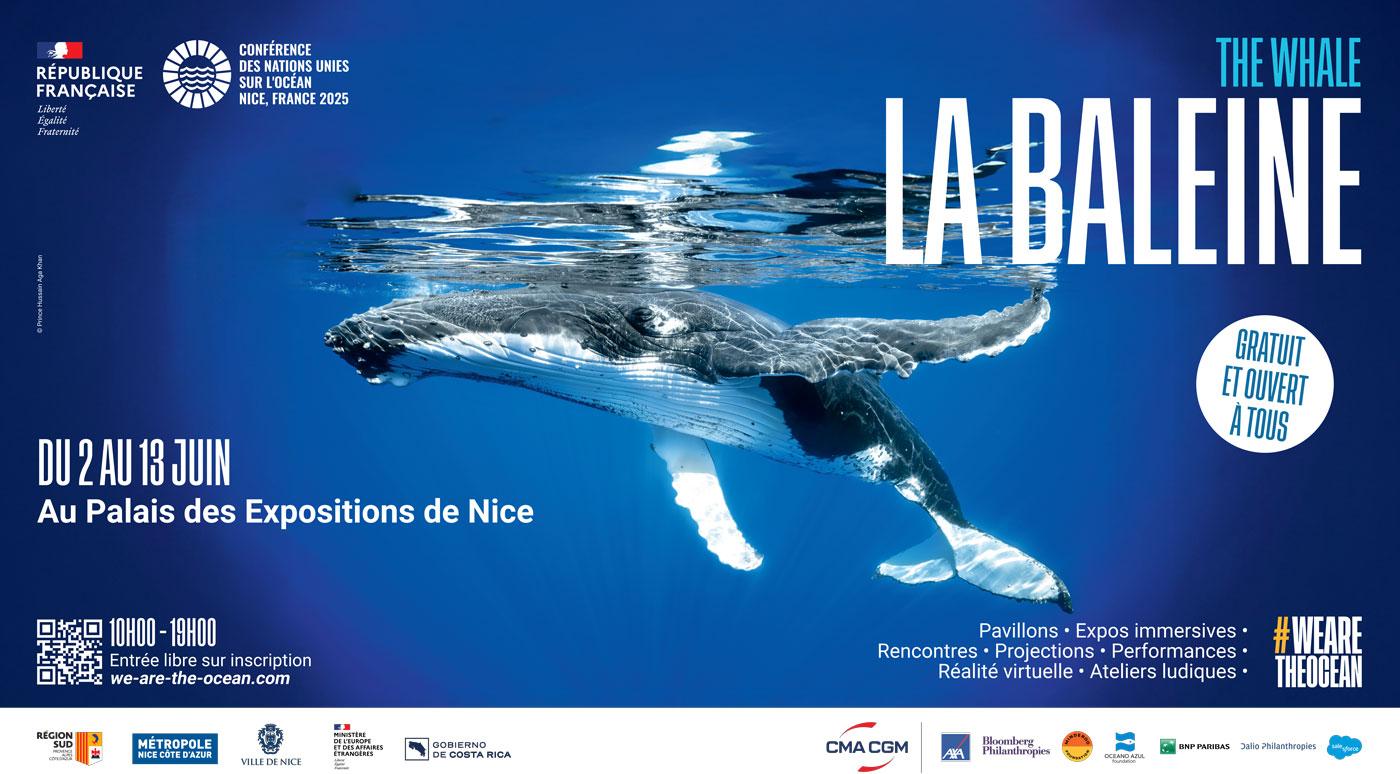 Affiche la baleine UNOC