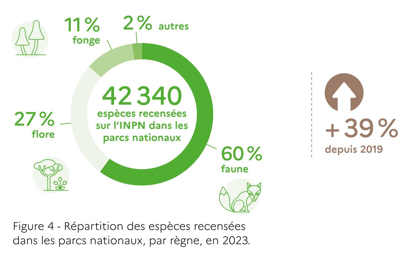 Figure 4 - Répartition des espèces recensées dans les parcs nationaux, par règne, en 2023 (OFB, 2025)