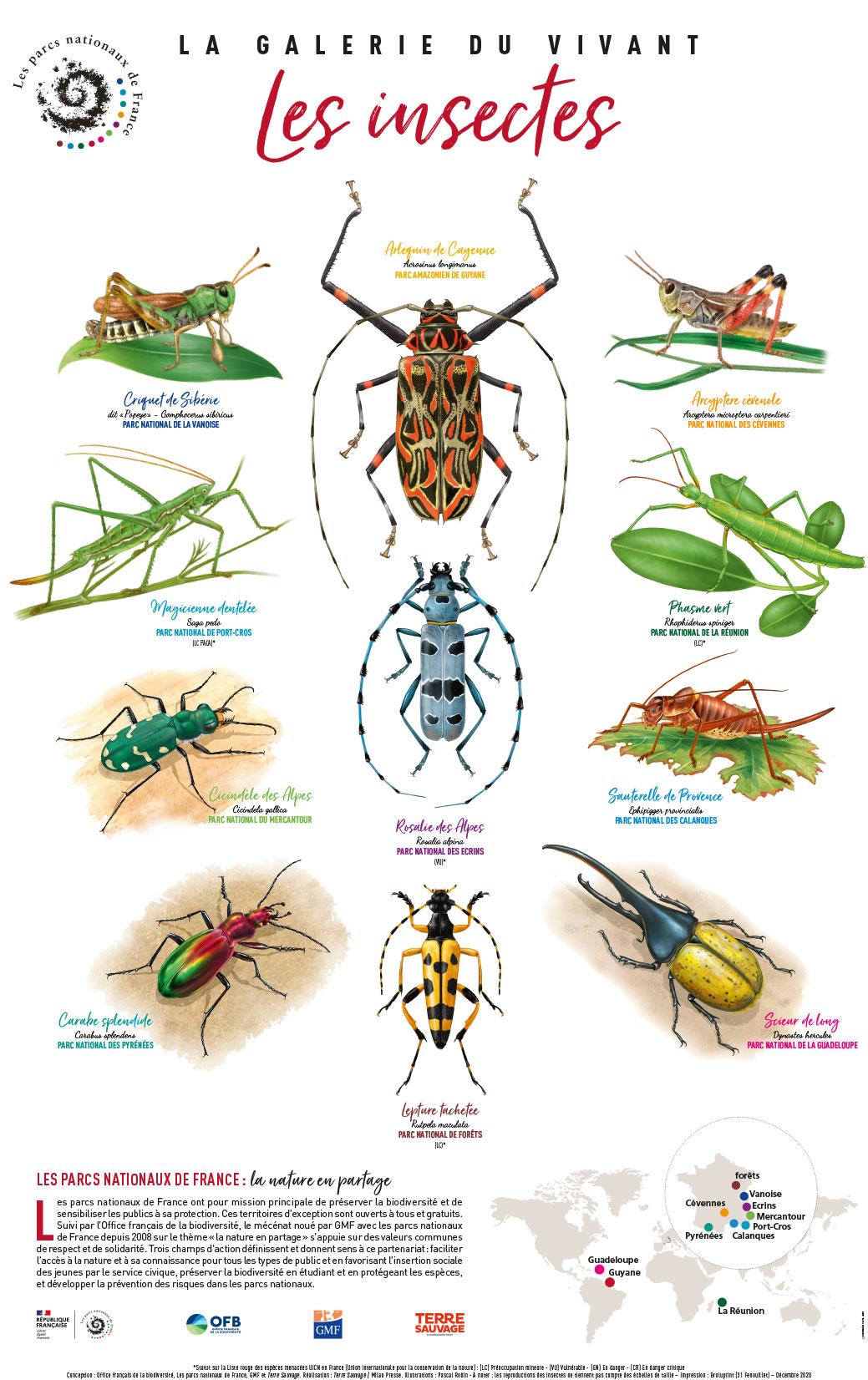 poster_la-galerie-du-vivant_1-les-insectes_web.jpg