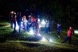 Balade nocturne à La Plaine-des-Palmistes