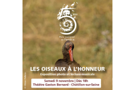 Affiche évènement "les oiseaux à l'honneur"