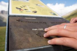 Tablette de lecture tactile © Emmanuel Rondeau-PNV.jpg