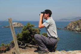 Un garde moniteur en observation