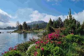 Réserve naturelle du Néouvielle