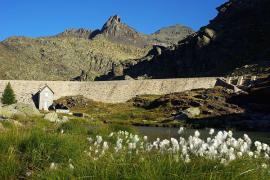 Zone humide maintenu par les débits réservés en aval d'une barrage dans le Parc national du Mercantour