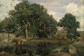 jean-baptiste-camille_corot_-_forest_of_fontainebleau_-_google_art_project.jpg
