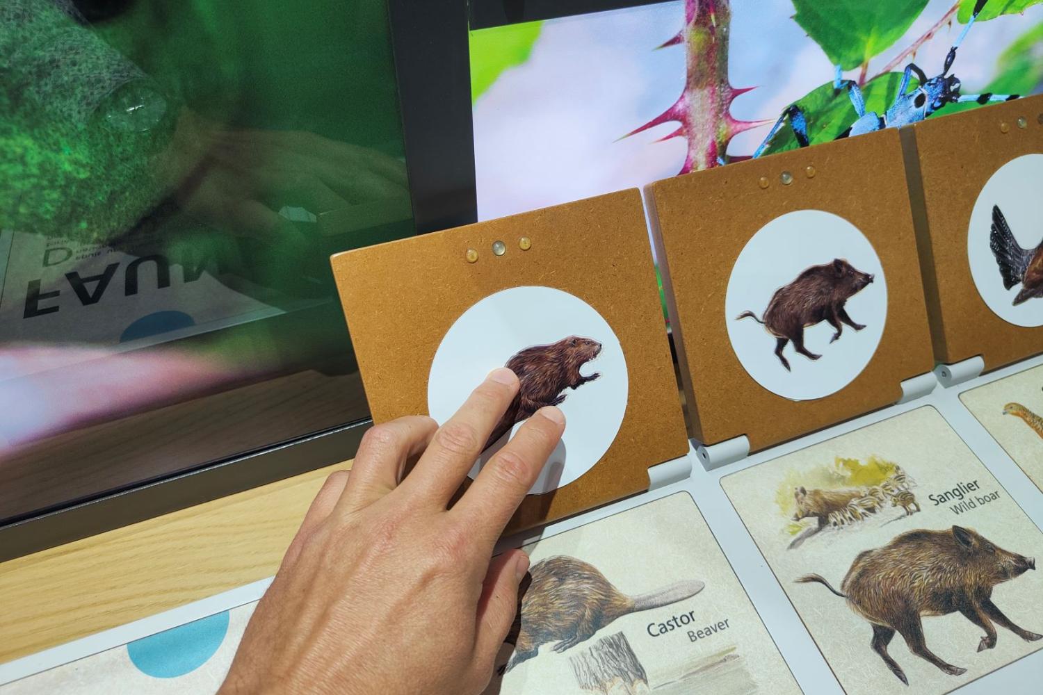 Nouvelle scénographie de la Maison du Tourisme et du Parc national © Thomas Burel - OFB
