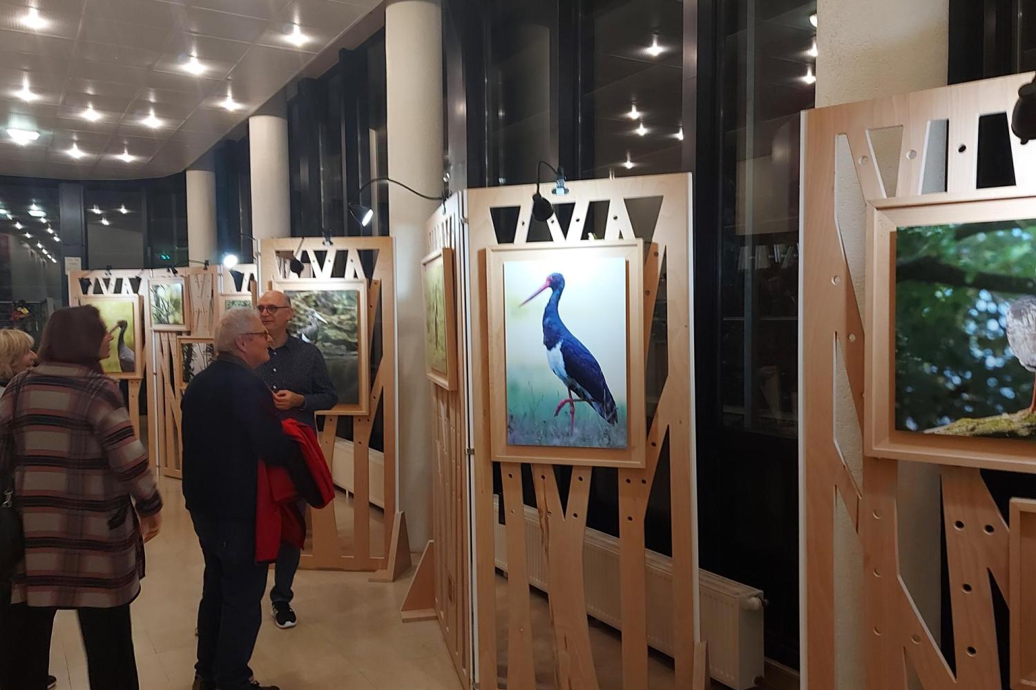 Exposition à l'occasion des 5 ans du Parc national de forêts