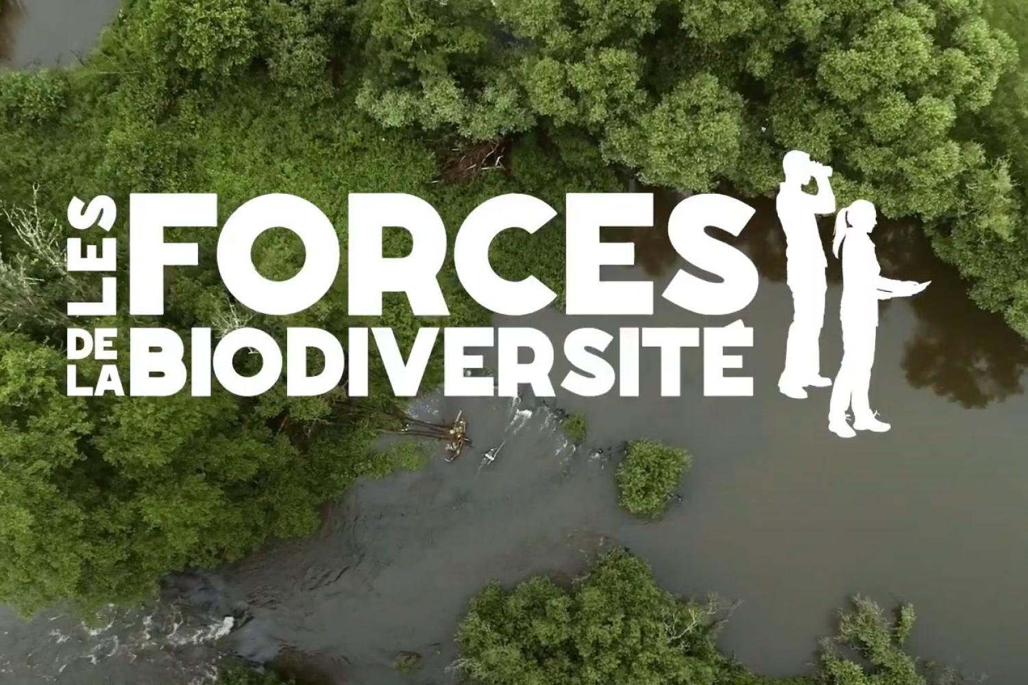 Les forces de la biodiversité