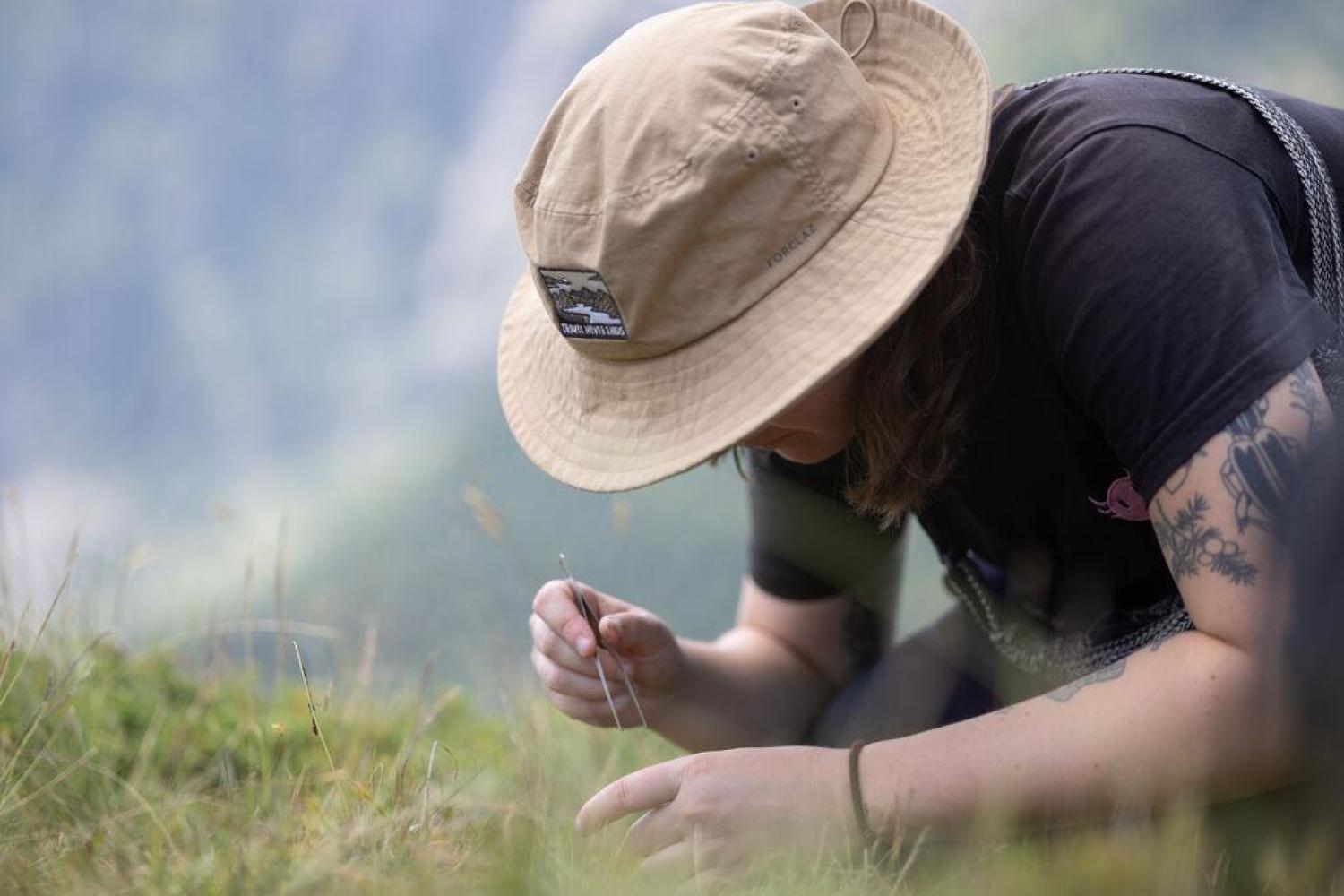 Explor’Nature Ecrins, 2025 © Olivier Sabatier – Parc national des Ecrins