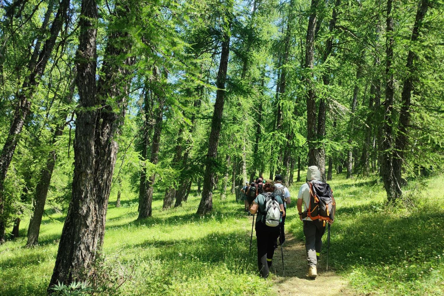 Explor’Nature 2025 à Péone © Elena Maselli – Parc national du Mercantour