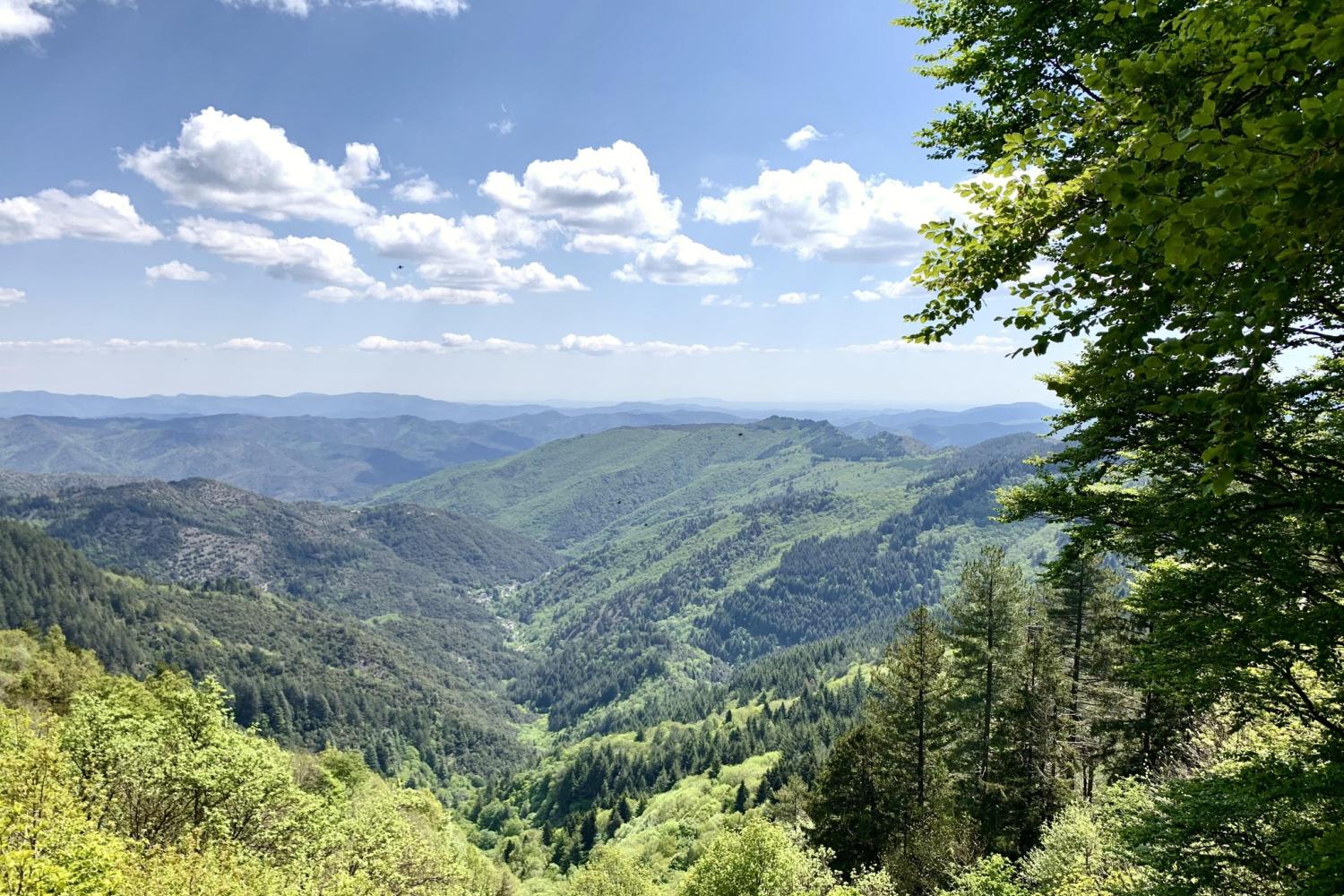Vue sur les Cévennes © Aire de Côte