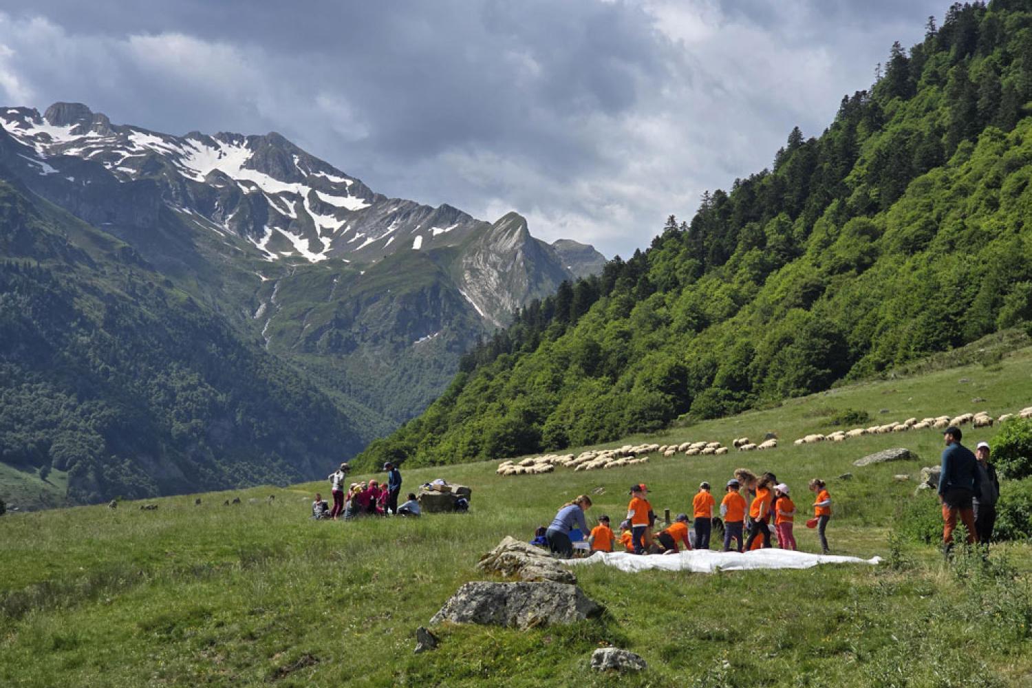 Animation scolaire en mai 2026 dans les Pyrénées