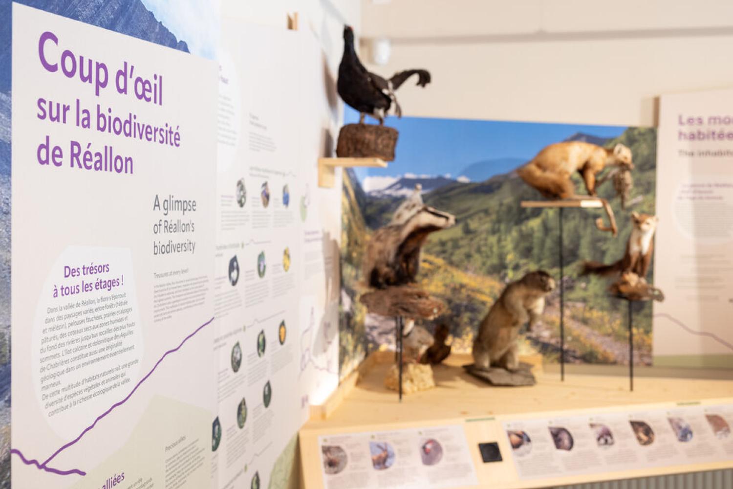 Scénographie de la base nature de l'Iscle © Olivier Sabatier - Parc national des Ecrins