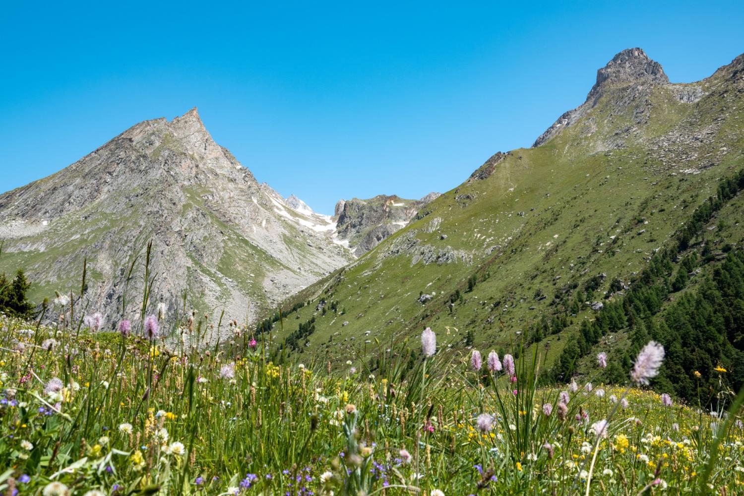 Vallon de l’Orgère © Céline Rutten-Parc national de la Vanoise